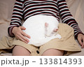 女の子の膝の上で寛ぐ猫 133814393