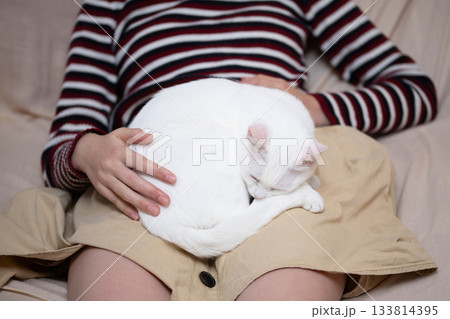 女の子の膝の上で寛ぐ猫 女の子の膝の上で寛ぐ猫 133814395