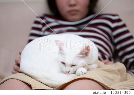 女の子の膝の上で寛ぐ猫 133814396