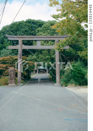 神社の鳥居と参道の風景 神社の鳥居と参道の風景 133814448