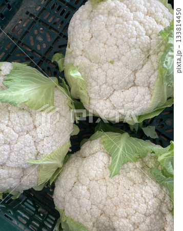 葉付きの新鮮なカリフラワー（冬野菜の収穫） 133814450