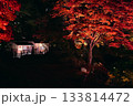 紅葉ライトアップ 133814472