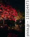 紅葉ライトアップ 133814473
