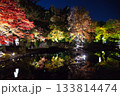 紅葉ライトアップ 133814474