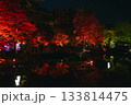 紅葉ライトアップ 133814475