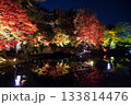 紅葉ライトアップ 133814476