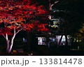 紅葉ライトアップ 133814478