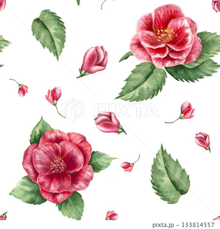 A clipart of high-quality watercolor images of pink camellia flowers on a white background Ideal for textiles and wrapping paper These wintery, tropical flowers will beautifully decorate any interior. A clipart of high-quality watercolor images of pink camellia flowers on a white background Ideal for textiles and wrapping paper These wintery, tropical flowers will beautifully decorate any interior. 133814557
