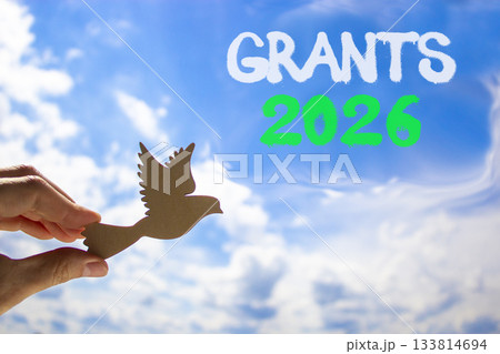 Grants 2026 symbol. Concept words Grants 2026 on beautiful blue sky. Beautiful blue sky background. Businessman's hand holds wooden bird. Business and grants 2026 concept. Copy space. Grants 2026 symbol. Concept words Grants 2026 on beautiful blue sky. Beautiful blue sky background. Businessman's hand holds wooden bird. Business and grants 2026 concept. Copy space. 133814694