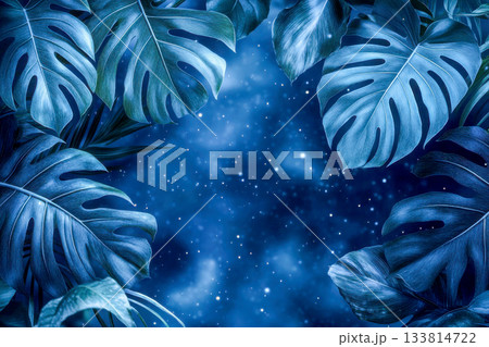 Lush tropical leaves border a starry night sky, creating a magical atmosphere filled with twinkling stars and deep blue hues 133814722