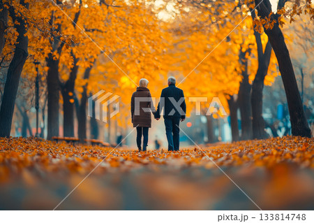 A couple strolls together on a peaceful path in a park during autumn, surrounded by warm golden leaves and trees A couple strolls together on a peaceful path in a park during autumn, surrounded by warm golden leaves and trees 133814748