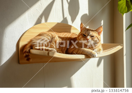A cozy orange cat lounges on a wooden shelf, enjoying the warm sunlight in a peaceful room with green plants 133814756