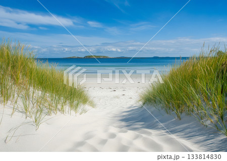 Soft white sand stretches ahead, framed by lush green grass, leading to peaceful blue waters under a bright sky Soft white sand stretches ahead, framed by lush green grass, leading to peaceful blue waters under a bright sky 133814830