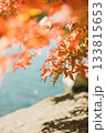 秋の風景 133815653