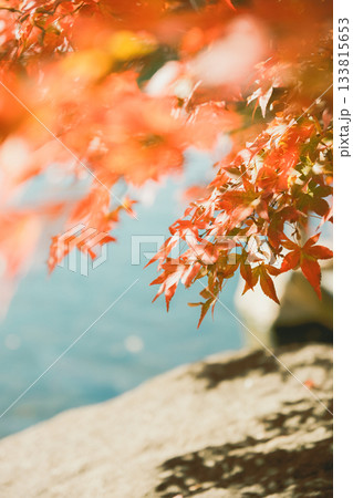 秋の風景 133815653