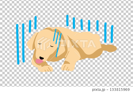 Unwell Hand-drawn illustration Dog Labrador Retriever No main lines 133815969