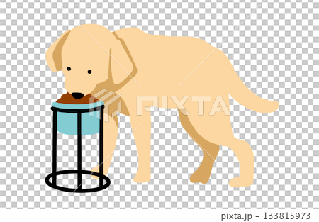 吃狗糧 手繪插圖 拉布拉多犬 無主線 133815973