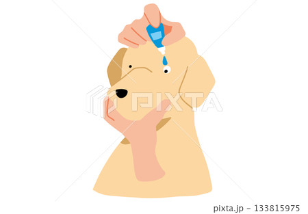 目薬をさす　手書きイラスト　犬　ラブラドールレトリバー　主線なし 133815975