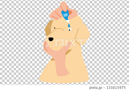 Hand-drawn illustration of a dog putting in eye drops, Labrador retriever, no main lines Hand-drawn illustration of a dog putting in eye drops, Labrador retriever, no main lines 133815975