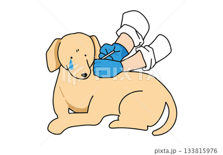注射を刺される 手書きイラスト 犬 ラブラドールレトリバー 主線あり 注射を刺される 手書きイラスト 犬 ラブラドールレトリバー 主線あり 133815976