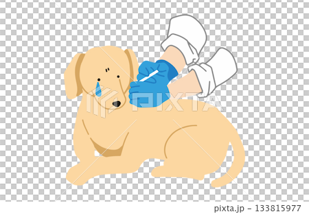 注射を刺される 手書きイラスト 犬 ラブラドールレトリバー 主線なし 注射を刺される 手書きイラスト 犬 ラブラドールレトリバー 主線なし 133815977