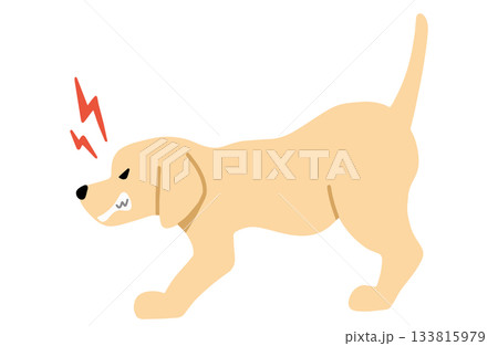 威嚇する　手書きイラスト　犬　ラブラドールレトリバー　主線なし 133815979