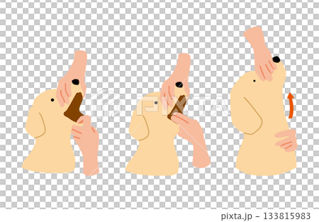 薬を飲む　手書きイラスト　犬　ラブラドールレトリバー　主線なし 133815983