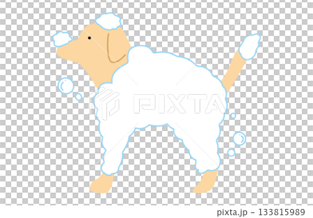 シャンプーをされる 手書きイラスト 犬 ラブラドールレトリバー 主線なし シャンプーをされる 手書きイラスト 犬 ラブラドールレトリバー 主線なし 133815989