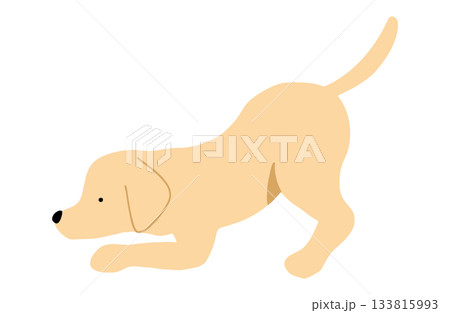 匂いを嗅ぐ　遊びに誘う　手書きイラスト　犬　ラブラドールレトリバー　主線なし 133815993