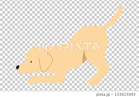 匂いを嗅ぐ　遊びに誘う　手書きイラスト　犬　ラブラドールレトリバー　主線なし 133815993