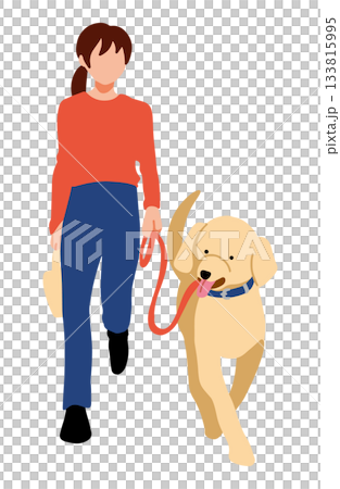 飼い主と散歩をする　手書きイラスト　犬　ラブラドールレトリバー　主線なし 133815995
