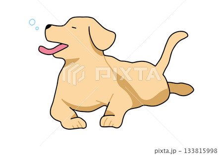 眠たくてあくびをする　手書きイラスト　犬　ラブラドールレトリバー　主線あり 133815998