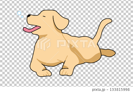 眠たくてあくびをする　手書きイラスト　犬　ラブラドールレトリバー　主線あり 133815998