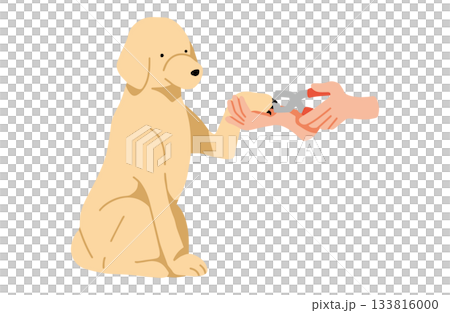 剪指甲 - 手繪拉布拉多犬插圖，無主線 133816000