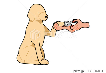 爪切りをする　手書きイラスト　犬　ラブラドールレトリバー　主線あり 133816001