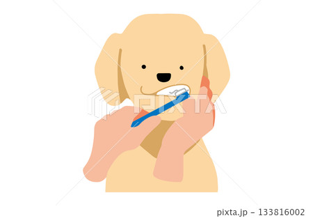 歯磨きをする 手書きイラスト 犬 ラブラドールレトリバー 主線なし 歯磨きをする 手書きイラスト 犬 ラブラドールレトリバー 主線なし 133816002