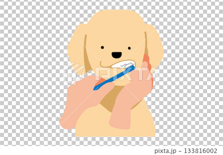 歯磨きをする 手書きイラスト 犬 ラブラドールレトリバー 主線なし 歯磨きをする 手書きイラスト 犬 ラブラドールレトリバー 主線なし 133816002
