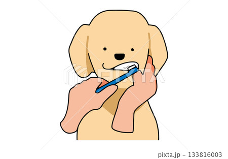 歯磨きをする 手書きイラスト 犬 ラブラドールレトリバー 主線あり 歯磨きをする 手書きイラスト 犬 ラブラドールレトリバー 主線あり 133816003