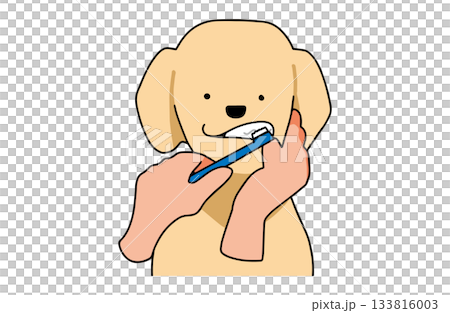 歯磨きをする 手書きイラスト 犬 ラブラドールレトリバー 主線あり 歯磨きをする 手書きイラスト 犬 ラブラドールレトリバー 主線あり 133816003