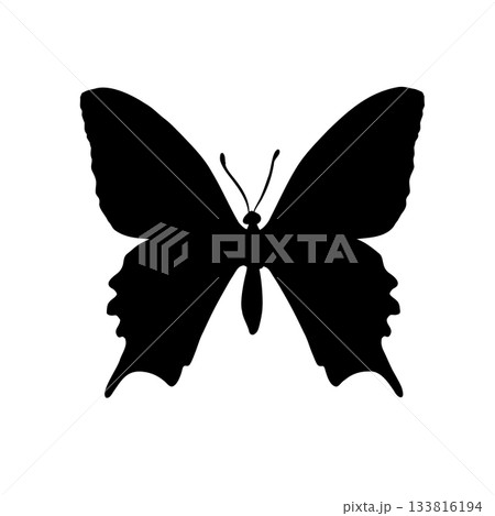 Black butterfly vector silhouette isolated on white background. Vector illustration of an insect for design elements and educational material. Drawing Machaon monochrome shape for sign or symbol. 133816194