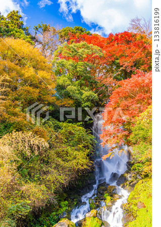 【静岡県】富士宮の朝日滝 紅葉期 【静岡県】富士宮の朝日滝 紅葉期 133816199