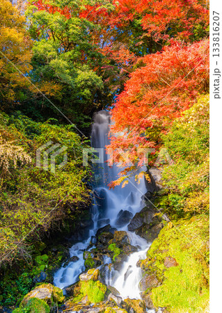 【静岡県】富士宮の朝日滝　紅葉期 133816207