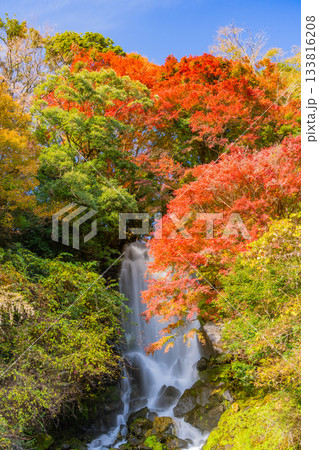 【静岡県】富士宮の朝日滝　紅葉期 133816208