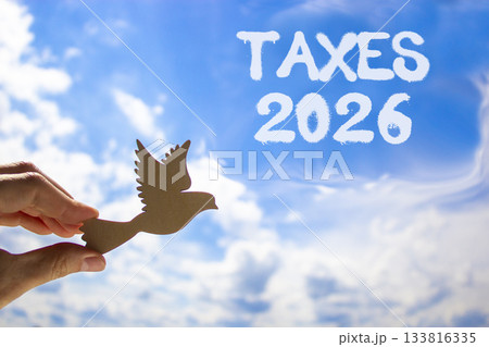 Taxes 2026 new year symbol. Concept words Taxes 2026 on beautiful blue sky. Beautiful blue sky background. Businessman's hand holds wooden bird. Business and taxes 2026 new year concept. Copy space. 133816335