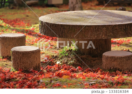 苔生す切り株のテーブルと紅葉の絨毯 苔生す切り株のテーブルと紅葉の絨毯 133816384