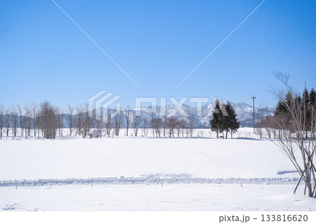 雪に覆われた冬の雑木林と青空 雪に覆われた冬の雑木林と青空 133816620