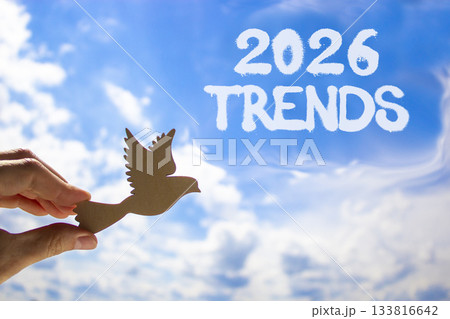 2026 Trends new year symbol. Concept words 2026 Trends on beautiful blue sky. Beautiful blue sky background. Businessman's hand holds wooden bird. Business and 2026 Trends new year concept. Copy space 133816642