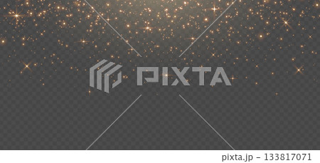 Gold glitter light banner. Magic dust background. Star particle bg. Christmas Holiday golden confetti. Fairy bulb. Glow shine bokeh. Winter Celebration frame. Luxury party. Vector illustration 133817071