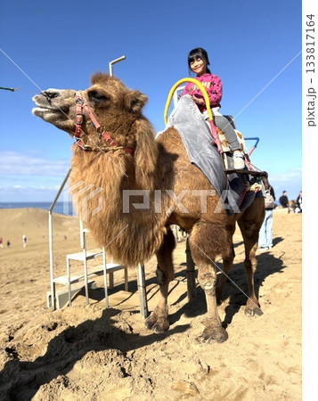 ラクダを運転する子供 133817164