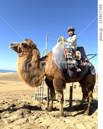 ラクダに乗る子供 133817169